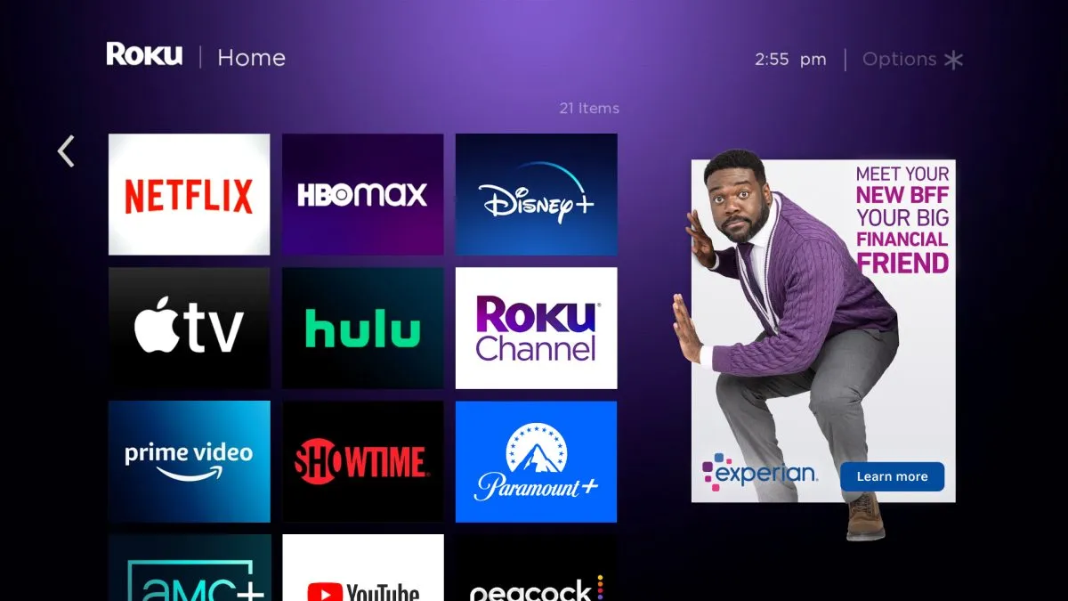Paging Your New Financial BFF: Sam Richardson Takes Over Roku for Experian